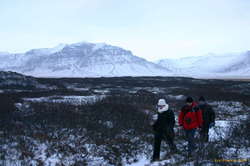Trying to find our way through an Icelandic forest