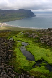 Alpine moss down to a sunny beach.  Svartaskarð looking down to Furufjörður