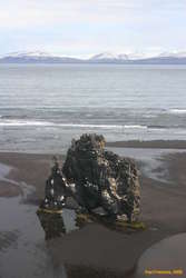 Hvítserker is a big blade of rock on the seashore
