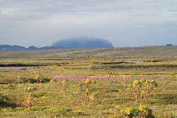 Hvann and Eyrarrós, looking towards Herðubreið