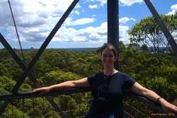 Steph on top of the forest at the Gloucester Tree