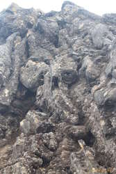 Hollow ropes of lava