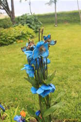 Cool blue poppies at Skrúður