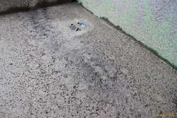 rain damaged concrete